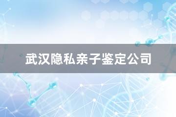 武汉隐私亲子鉴定公司